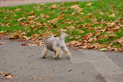 DSC_0582 (Large).JPG